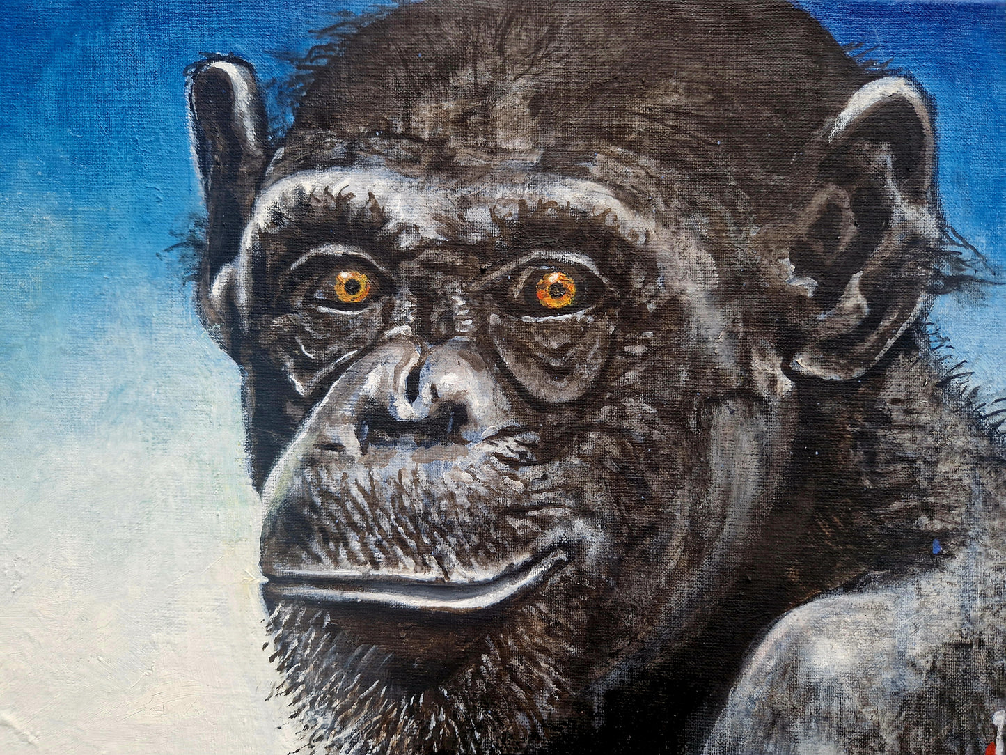 'Monkey/TikTok 1' sertifisert kunsttrykk norsk samtidskunst - av Trond Berg-Nilssen